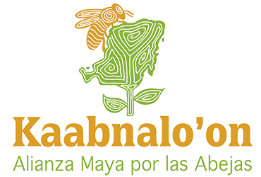 Logo de la Alianza Maya por las Abejas